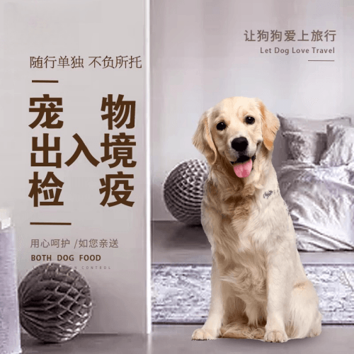 和平区宠物托运到哥伦比亚猫狗宠物入境规定和