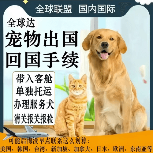 和平区宠物托运到柬埔寨宠物入境规定和要求