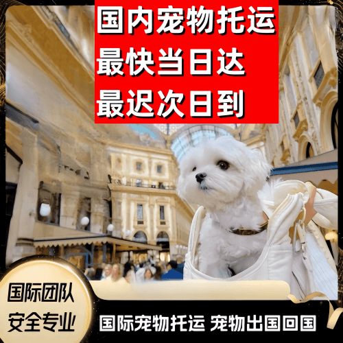 和平区到澳大利亚（澳洲）宠物入境规定和要求